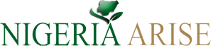 Nigeria Arise Awards